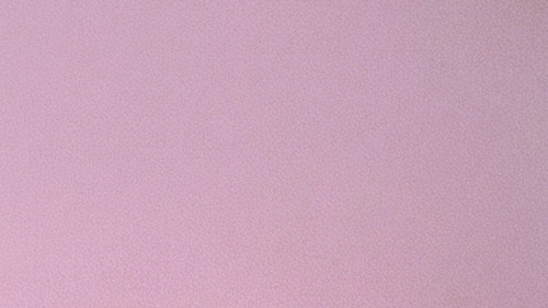 Profile banner